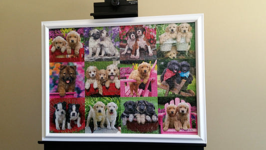 Puppy Pals Custom Framed 500pc Finished Ravensburger Puzzle Wall Art