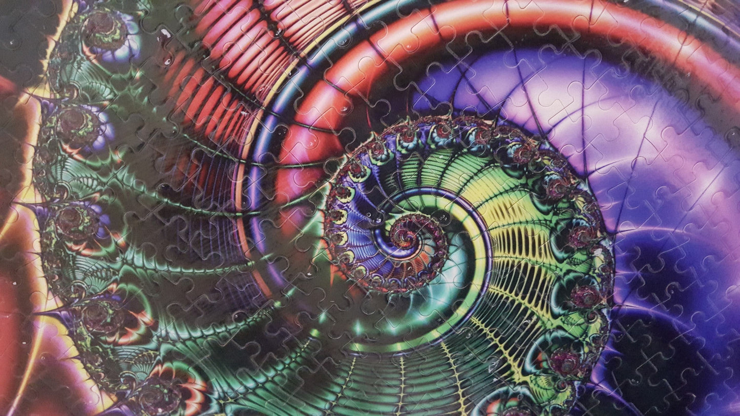 Colorful Abstract Spiral Patterned Wall Art - Professionally Custom Framed