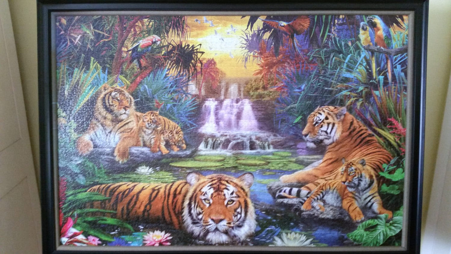 Professionally Framed Completed 3000 piece Ravensburger Tigers at the Waterhole Puzzle Wall Art & Decor